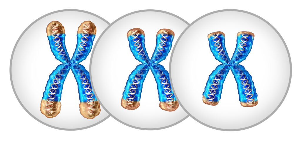 Illustration of three human chromosomes, each showing a blue X-shaped structure with DNA double helix patterns in the center. The chromosomes have brownish tips.